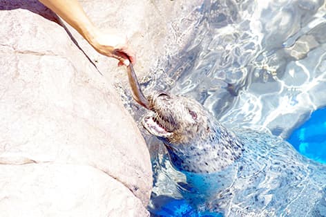 新潟市水族館 マリンピア日本海（新潟市）