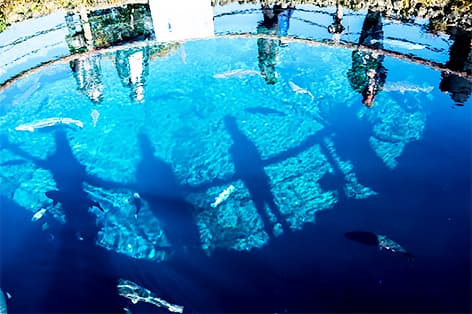 忍野八海（南都留郡）