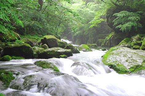 菊池渓谷（菊池）