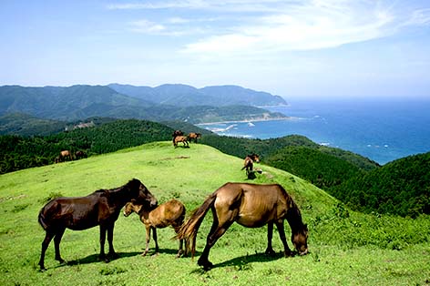 都井岬（串間）