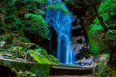 佐賀（古湯・熊の川）・鳥栖・吉野ヶ里