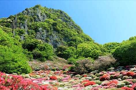 嬉野・武雄・太良
