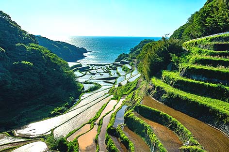 棚田（玄海町）