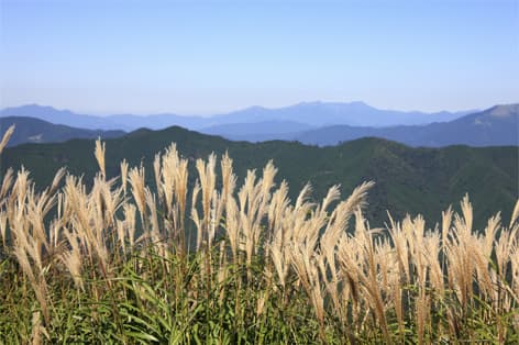 四国カルスト（上浮穴郡）