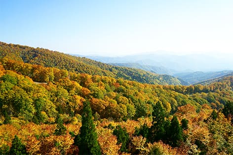 森吉山阿仁ゴンドラ（北秋田市）