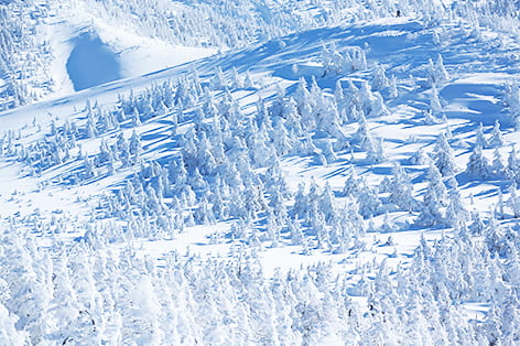 八甲田山（十和田市）