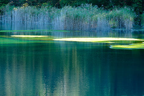 五色沼湖沼群（耶麻郡）