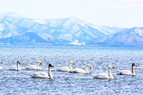 猪苗代湖（耶麻郡）