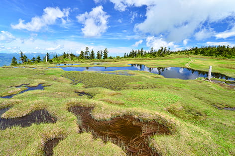 尾瀬国立公園（南会津町）
