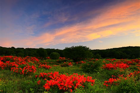 安比高原・八幡平・二戸