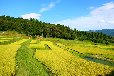 奥州・平泉・一関