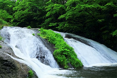 花巻・北上・遠野