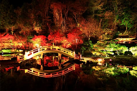 歴史公園えさし藤原の郷（奥州市）