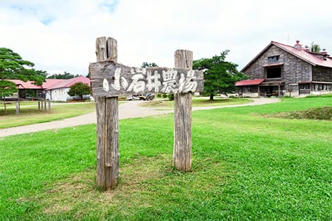 小岩井農場まきば園（岩手郡）