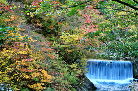 鳴子・大崎・古川・栗原