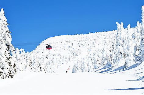 蔵王スキー場（山形市）