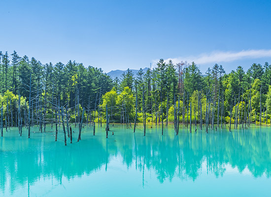 北海道（イメージ）