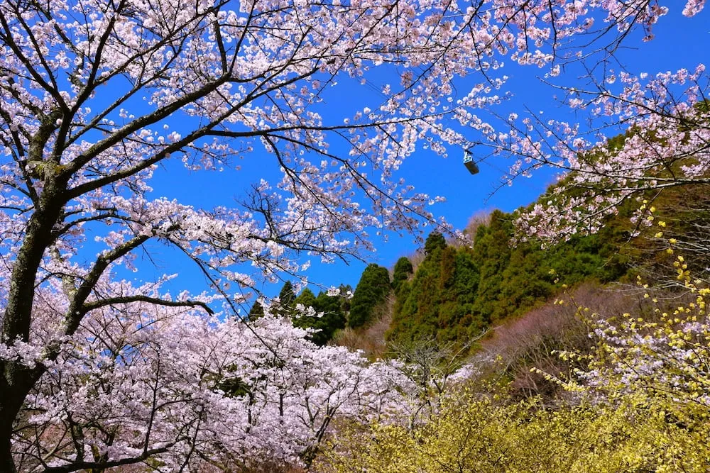 大分県_別府ロープウエイ