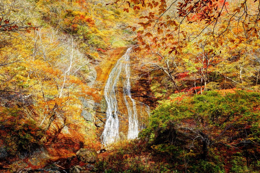 二口峡谷の紅葉