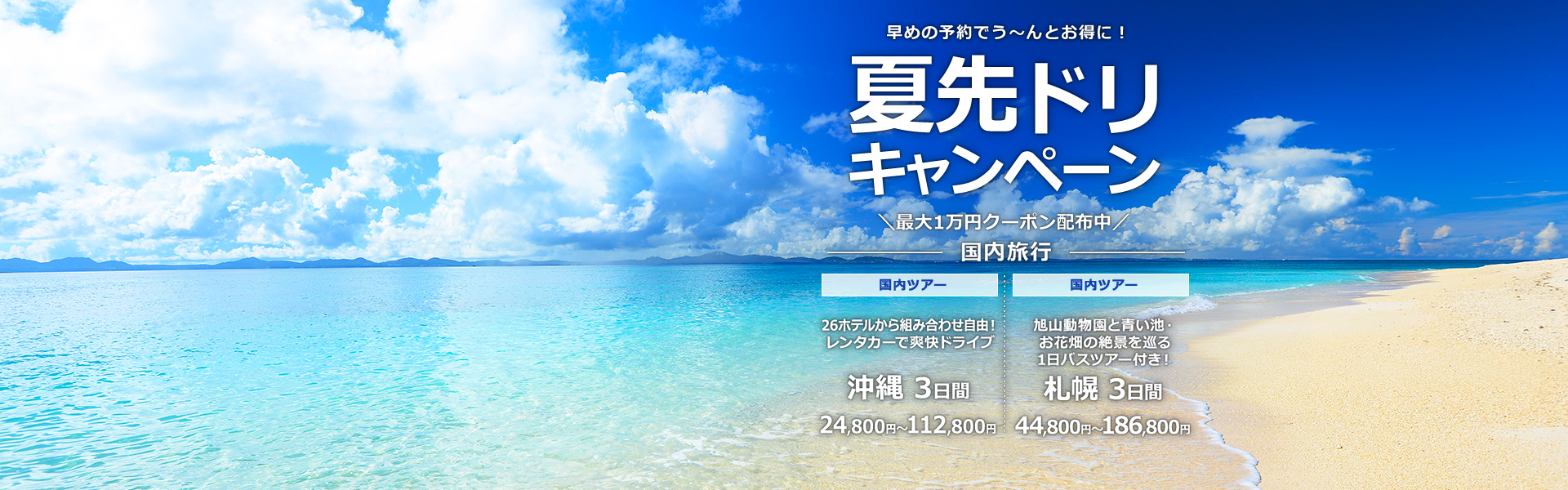 夏先ドリキャンペーン_国内