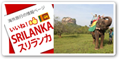 スリランカ
