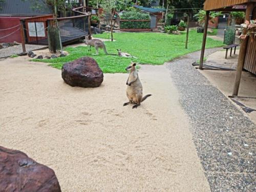 村の人々や自然と動物に出会えます