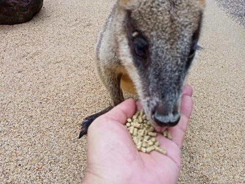 村の人々や自然と動物に出会えます