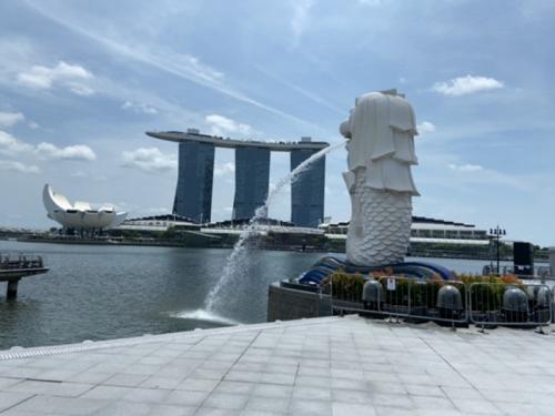 現地の地理がリアルに体感できました