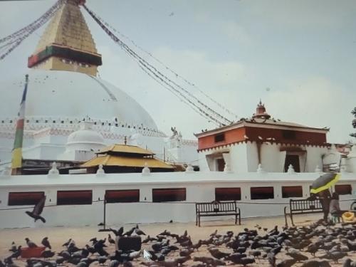 懐かしいネパール、なんと参加者は私ひとりで楽しみました