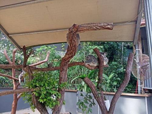 むっちゃ可愛いくて癒されました むっちゃ可愛いくて癒されました