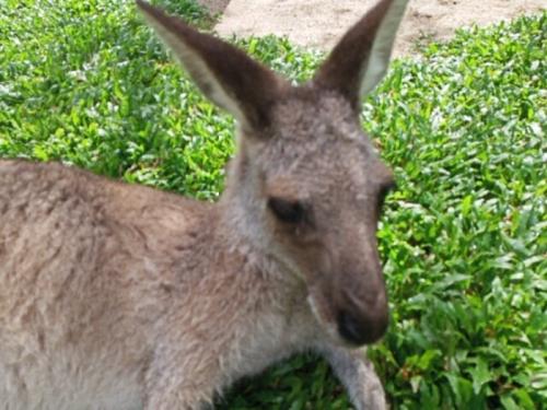 むっちゃ可愛いくて癒されました むっちゃ可愛いくて癒されました