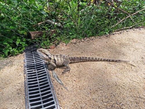 むっちゃ可愛いくて癒されました むっちゃ可愛いくて癒されました