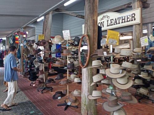 むっちゃ可愛いくて癒されました むっちゃ可愛いくて癒されました