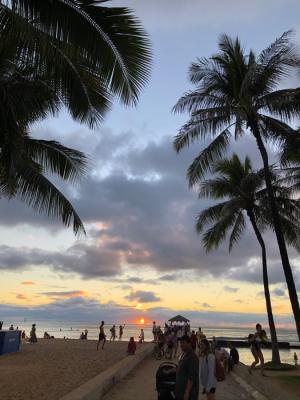 初のオンラインツアー