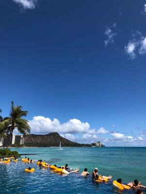 初のオンラインツアー