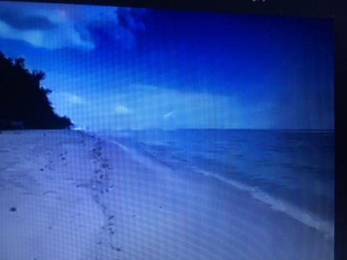 旅行会社ならでは