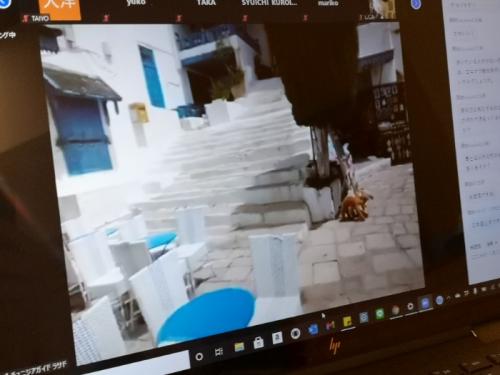 新しくてとっても満足