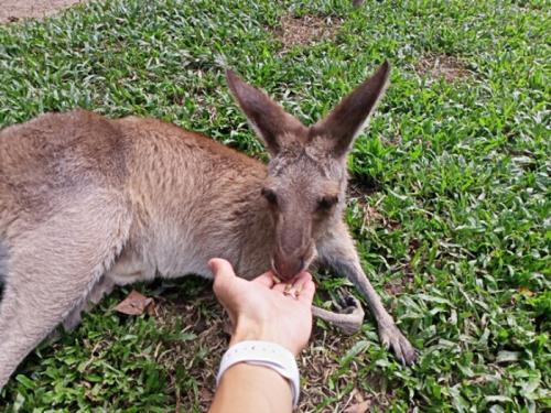 Liveならではの楽しみがありました