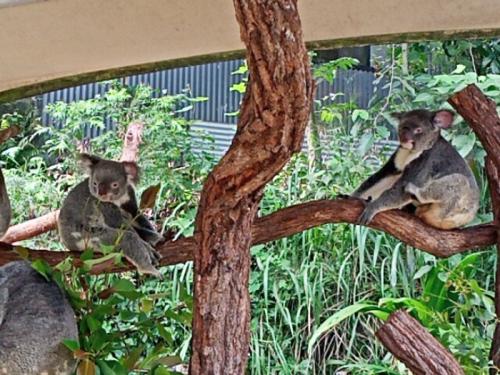 Liveならではの楽しみがありました