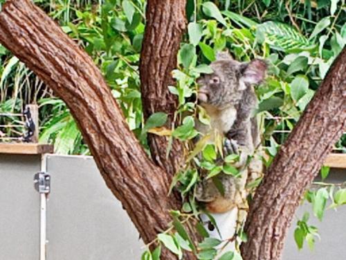 現地に行っているような気分になれました