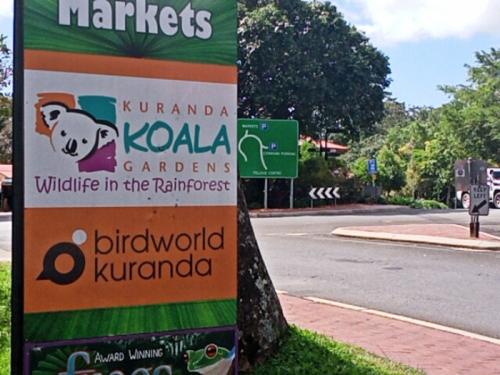 現地に行っているような気分になれました