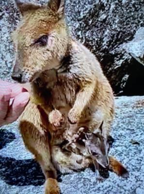 空の青さに感動