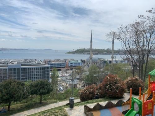 かわいい猫たちに癒やされました