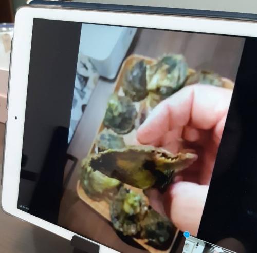 さいこうでした！