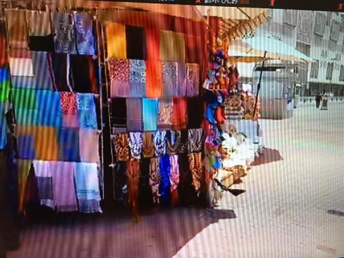 臨場感あるツアー