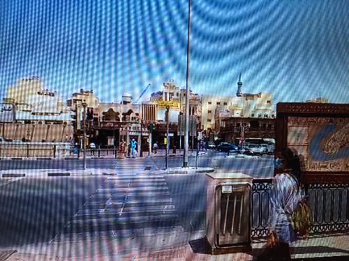 臨場感あるツアー