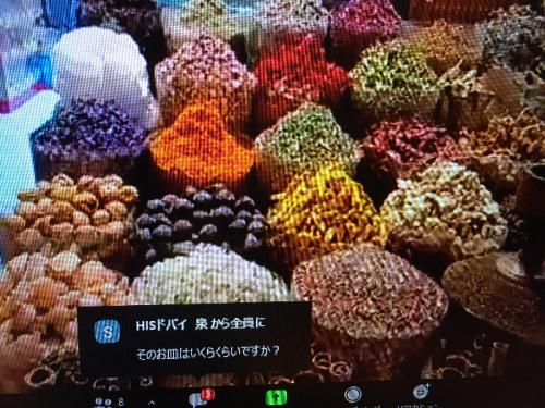 臨場感あるツアー