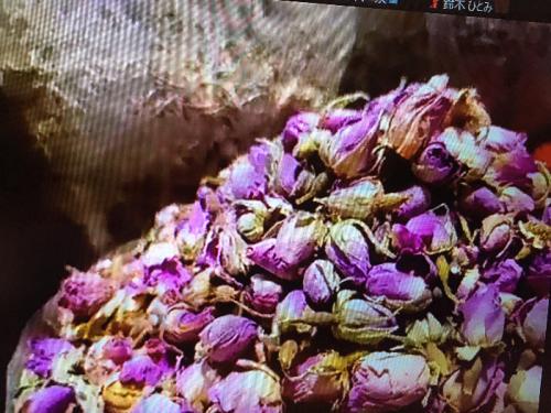 臨場感あるツアー