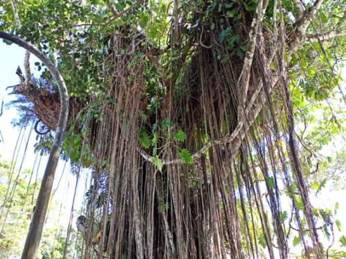 現地にいる気分になりました！