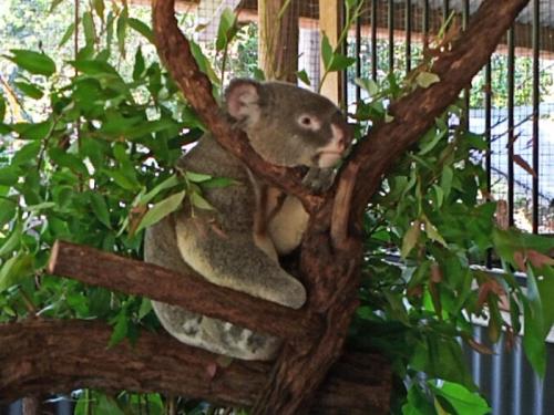 現地にいる気分になりました！